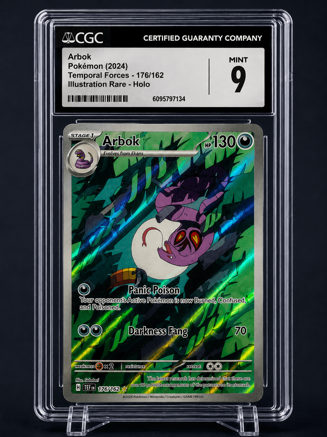 2024 ARBOK TEMPORAL FORCES 176-162