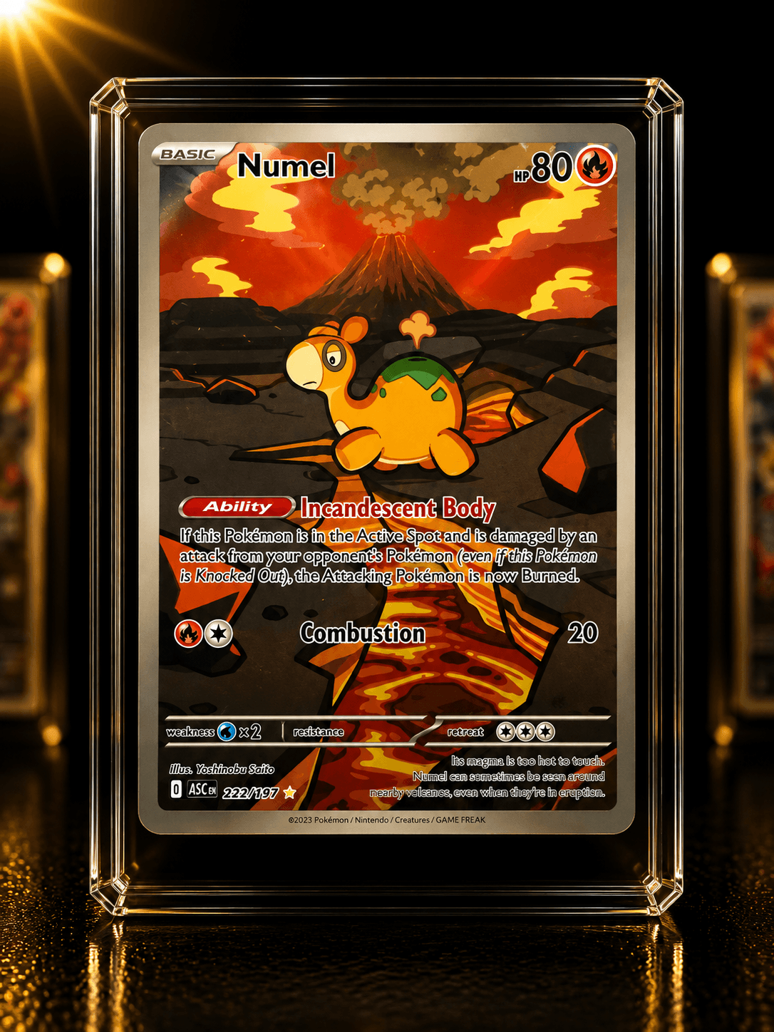 NUMEL IR ASC 223-217
