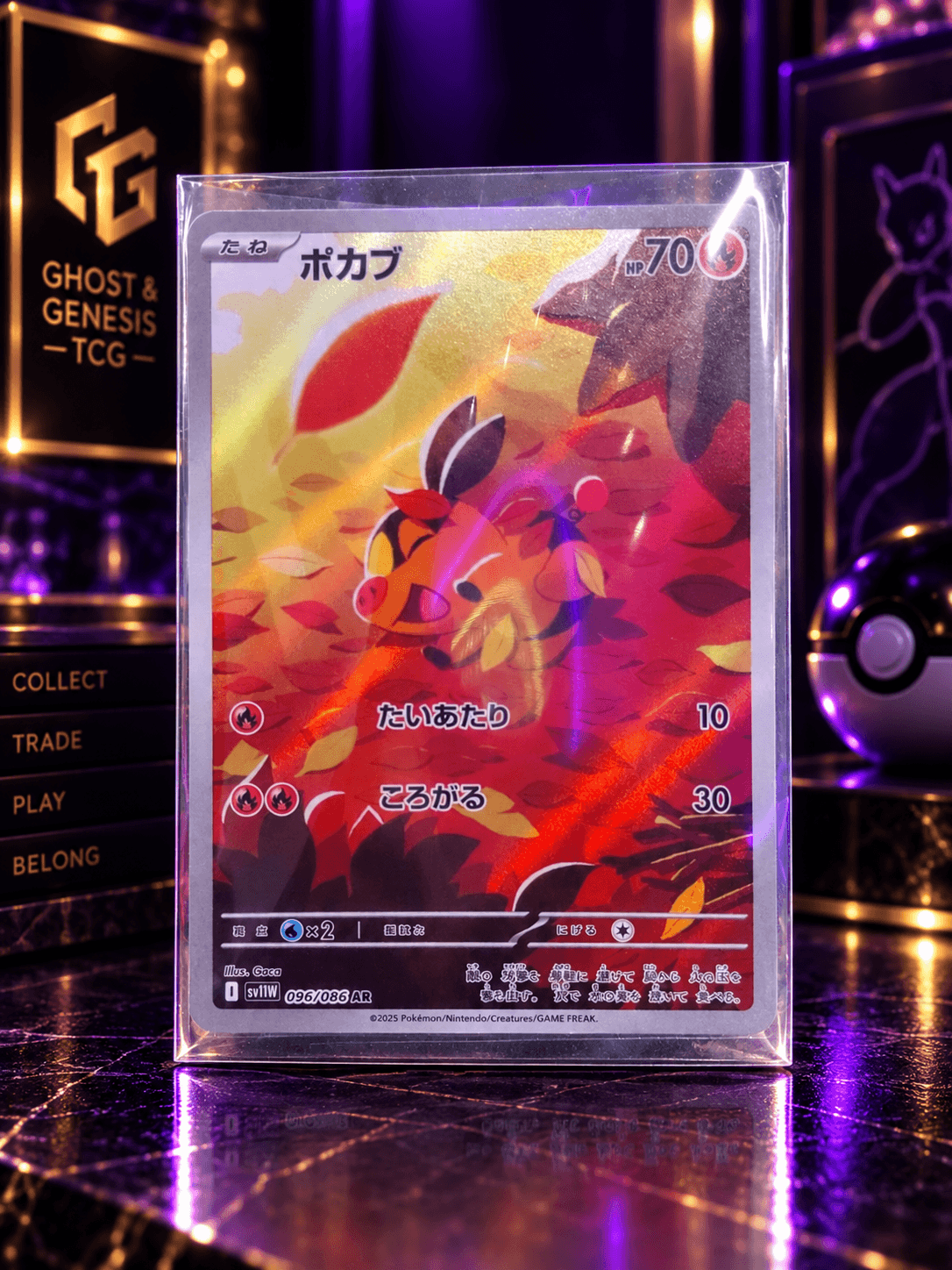 TEPIG AR SV11W 096-086