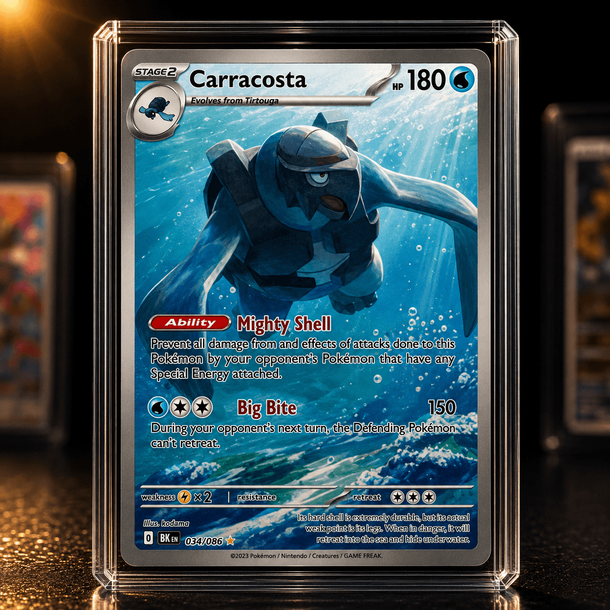 CARRACOSTA IR BLK 107-086