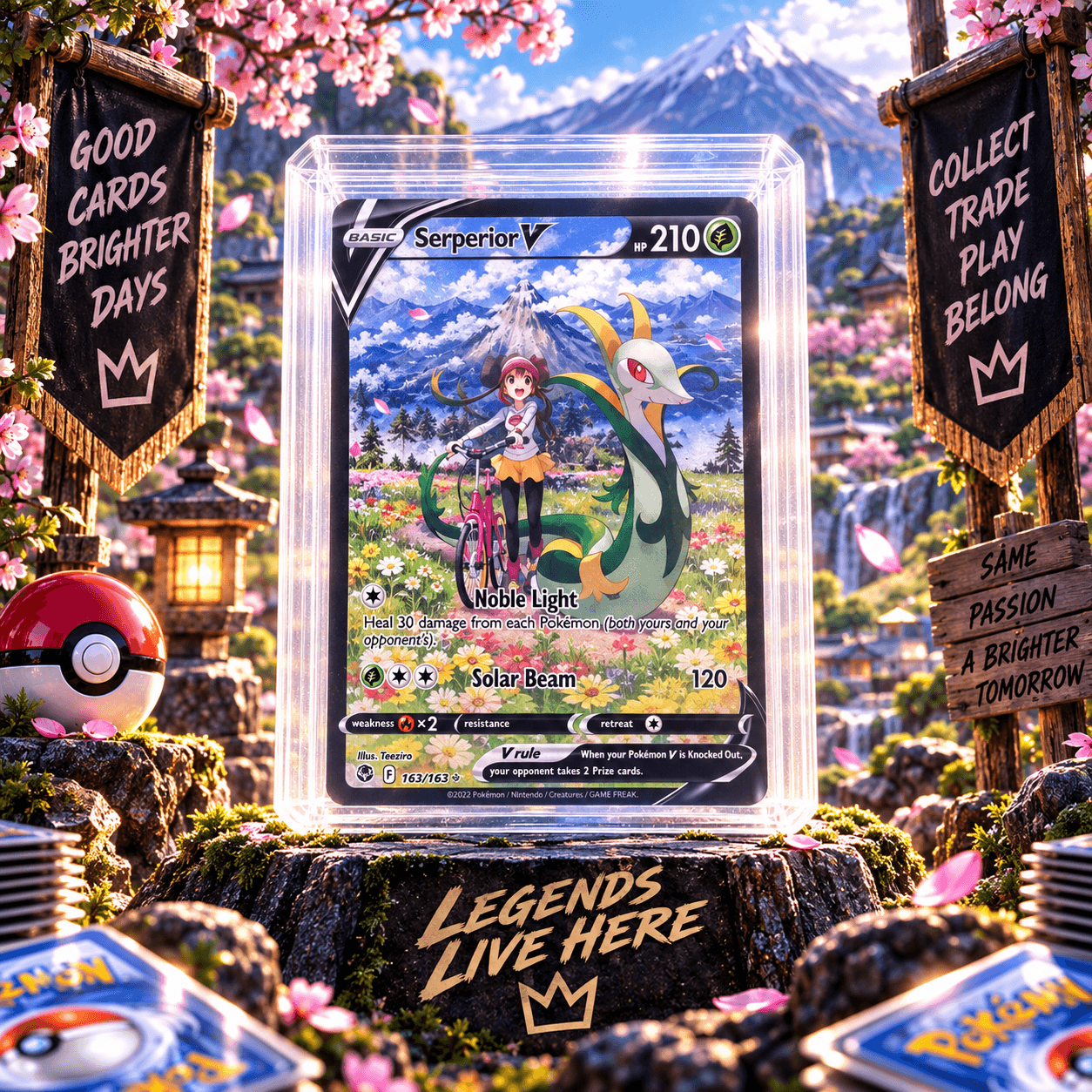 SERPERIOR V TG13-TG30