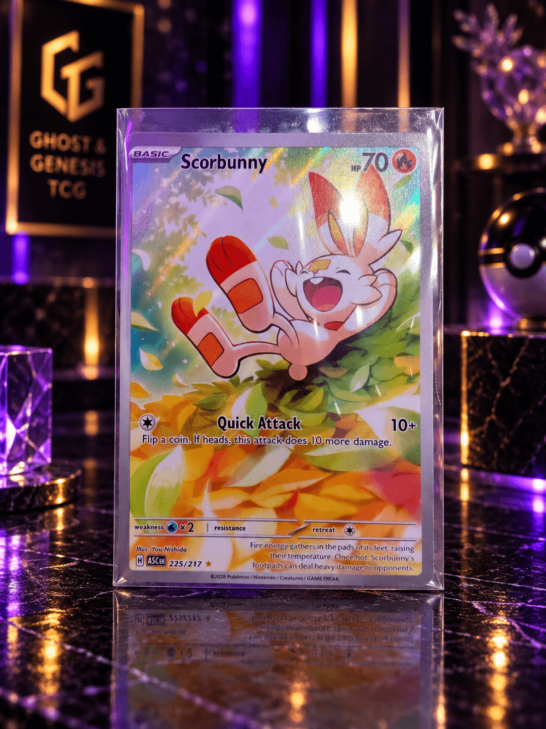 SCORBUNNY IR ASC 225-217