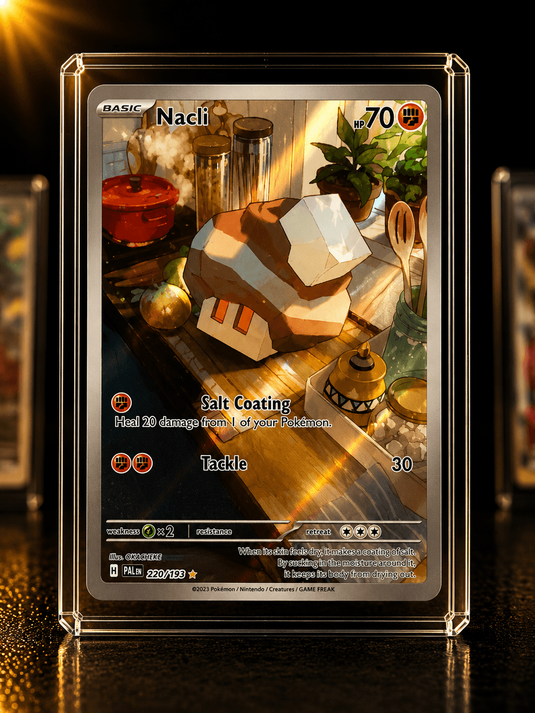 NACLI IR PAL 220-193