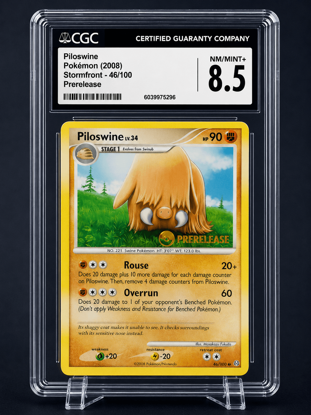 PILOSWINE STORMFRONT 46-100