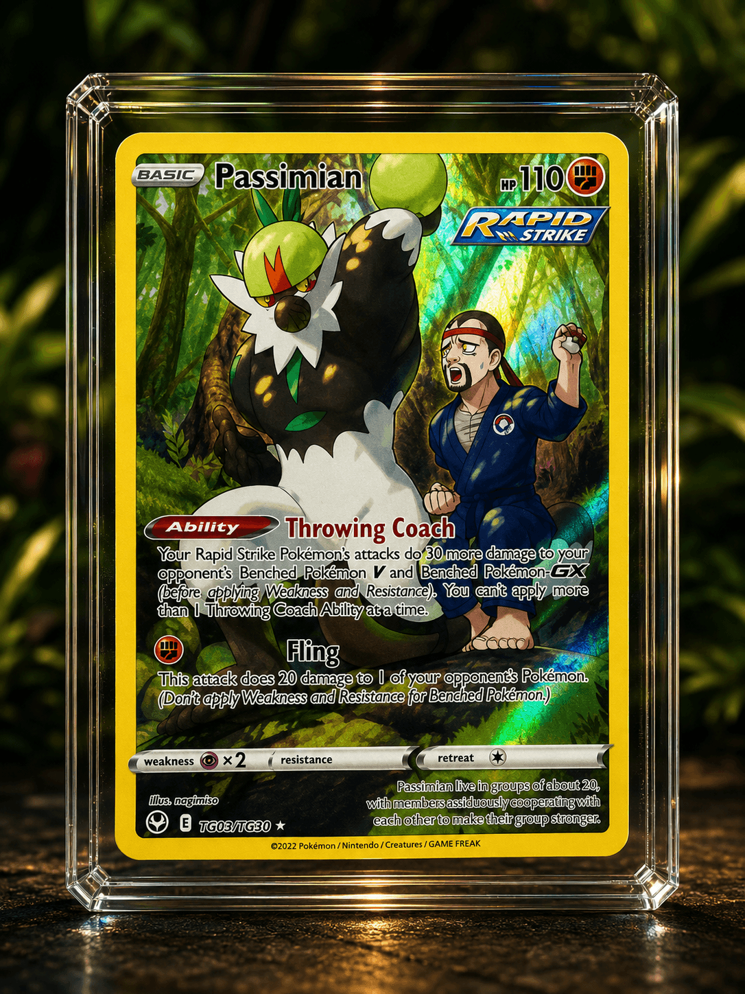 PASSIMIAN TG08-TG30