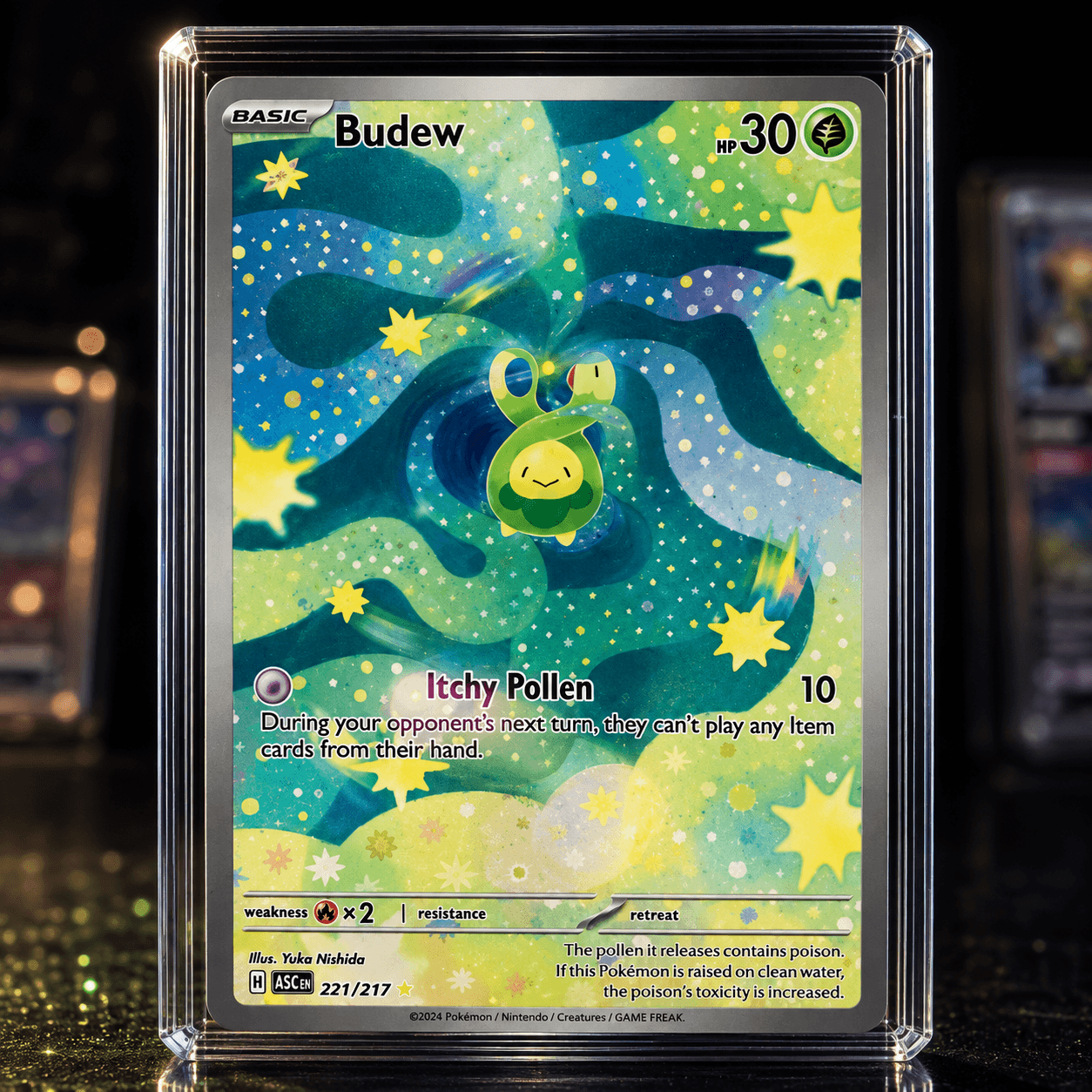 BUDEW IR ASC 221-217