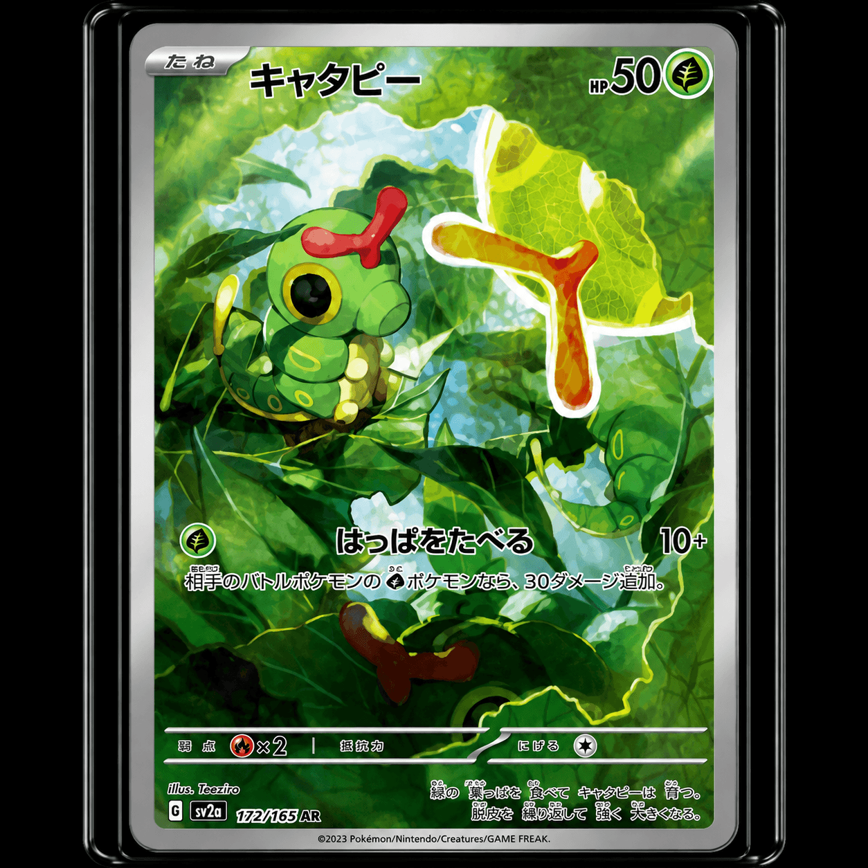CATERPIE AR SV2A 172-165
