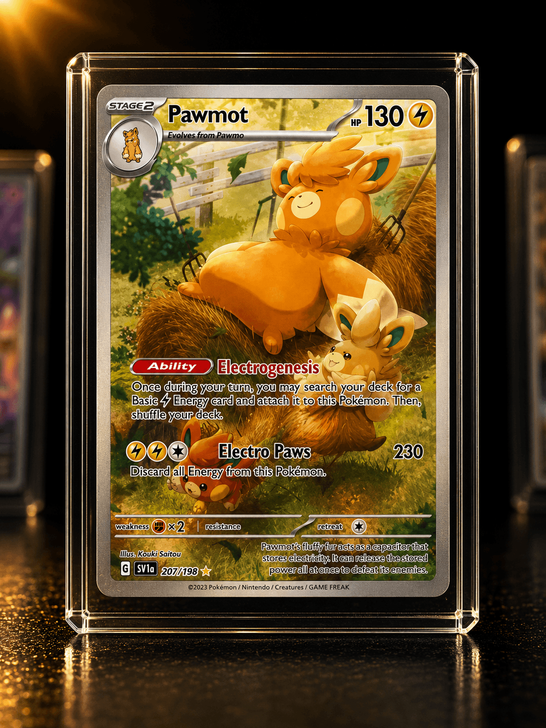PAWMOT IR SV1 209-198