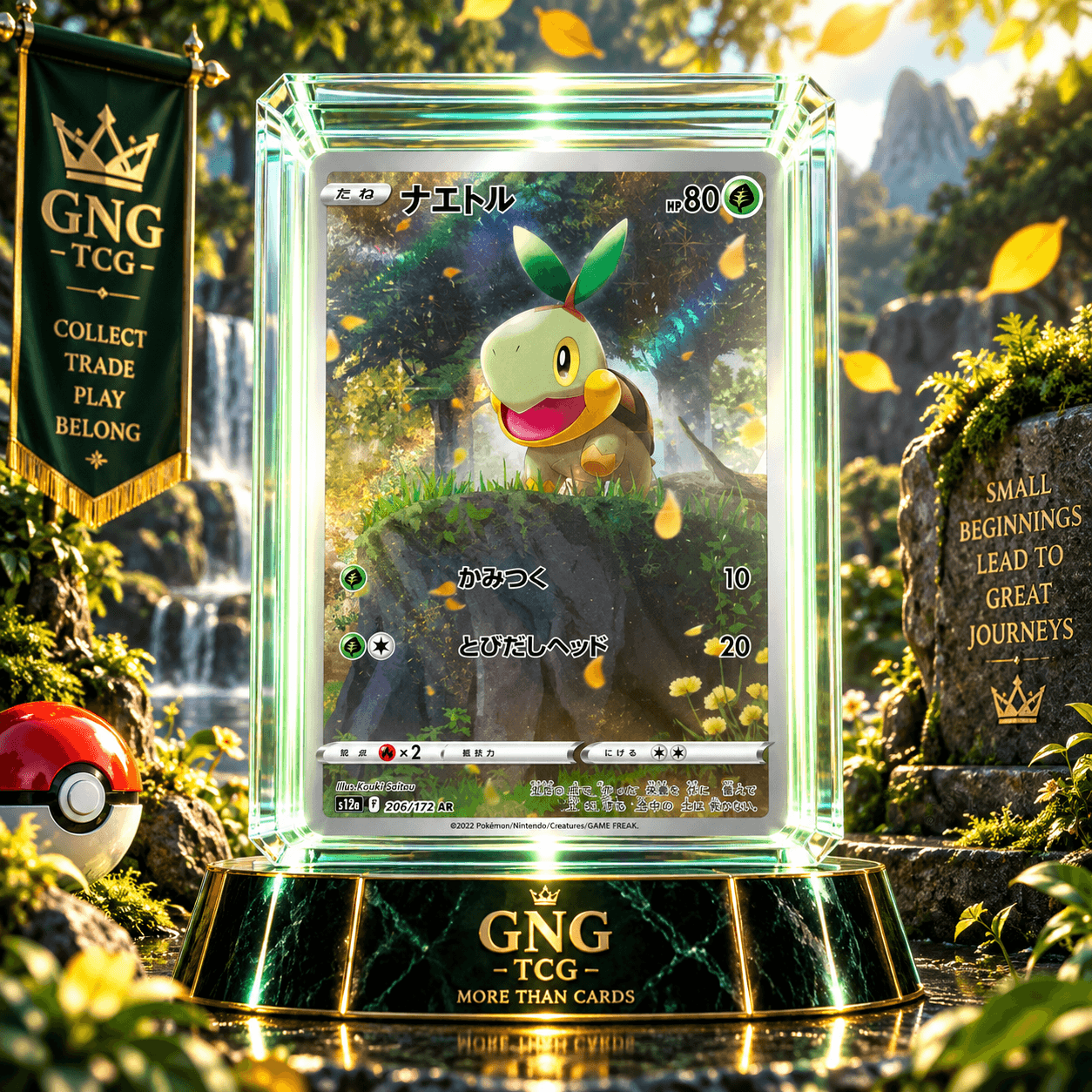TURTWIG AR 206-172